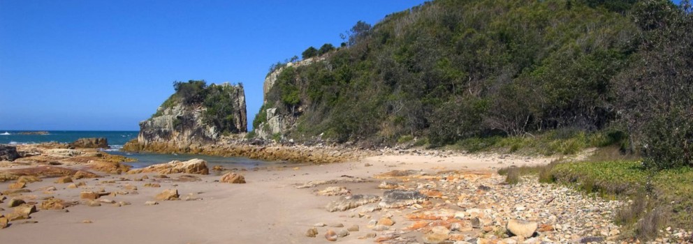 South Beach Diamond Head